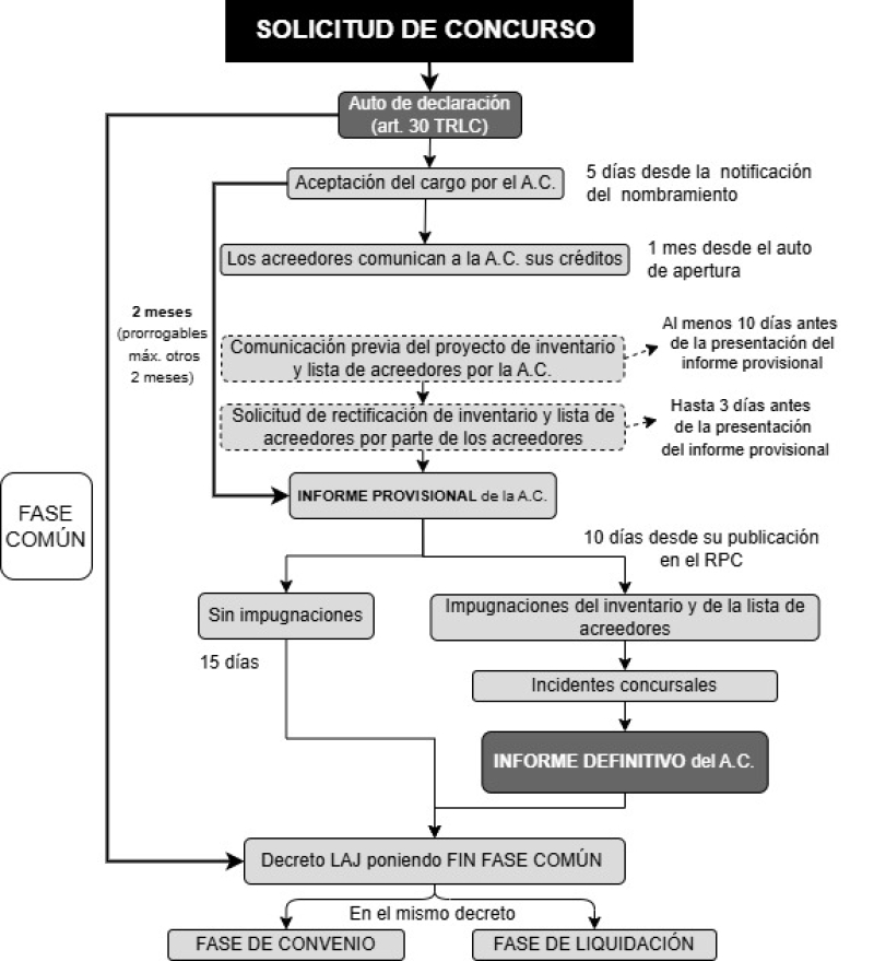 Esquema sobre la fase común del concurso de acreedores