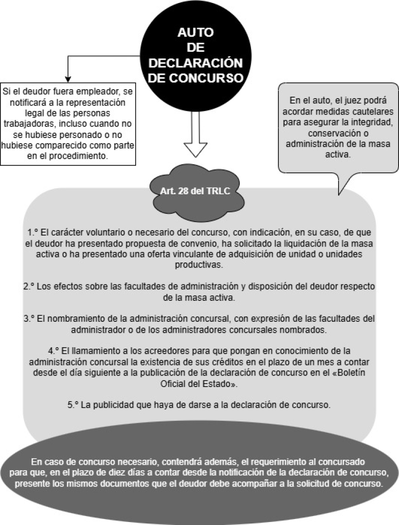Esquema sobre el auto de declaración de concurso (art. 28 del TRLC)