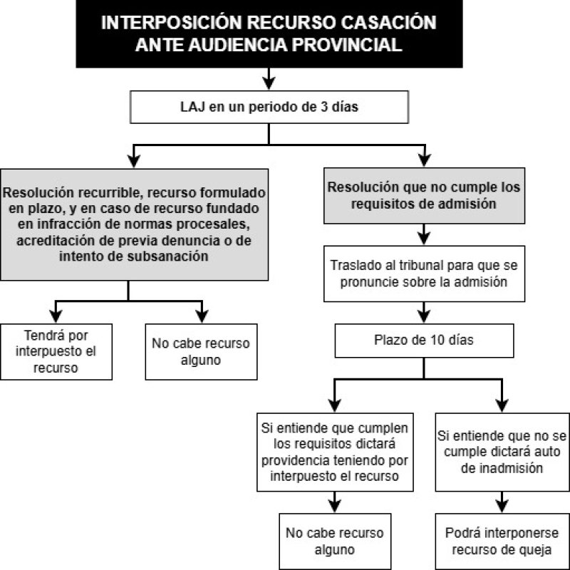 Esquema sobre la interposición del recurso de casación