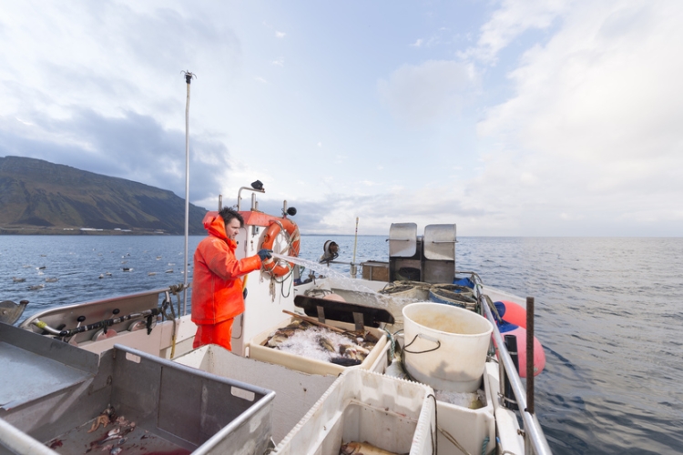 Nuevas normas de seguridad y de prevención de la contaminación para la pesca costera del bonito del norte y túnidos