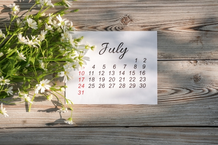 Calendario del contribuyente del mes de julio de 2024
