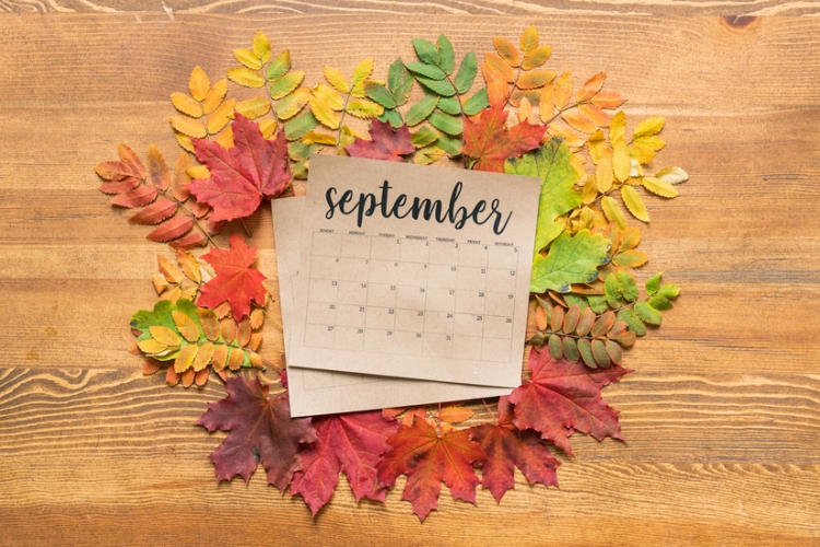 Calendario del contribuyente del mes de septiembre de 2024