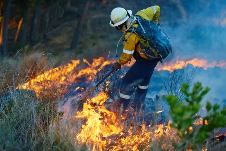 Nuevas regulación de bomberos y agentes forestales