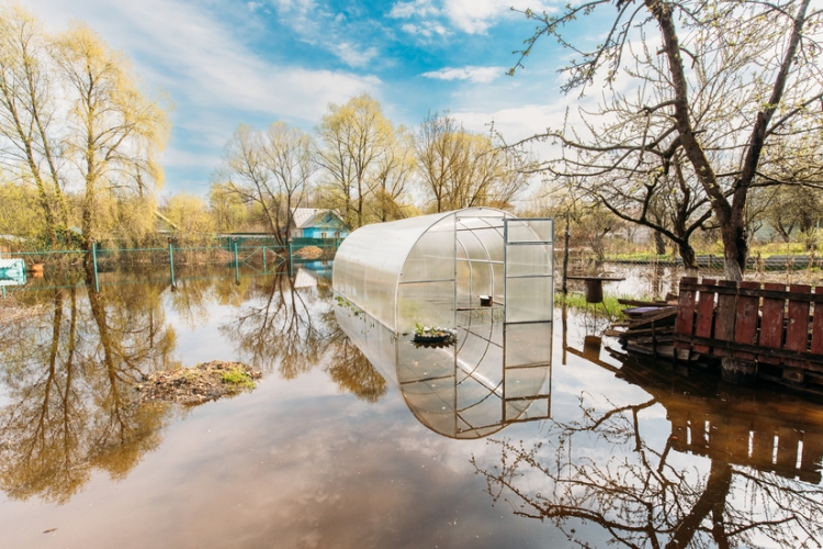 RD-ley 7/2024: nuevas medidas fiscales para los afectados por la DANA y flexibilización de algunas de las previas