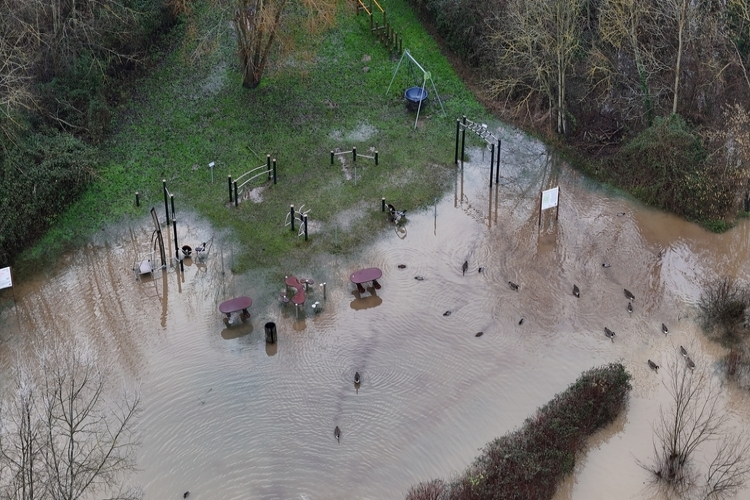 Procedimiento de tramitación electrónica de las prestaciones por desempleo para los afectados por la DANA
