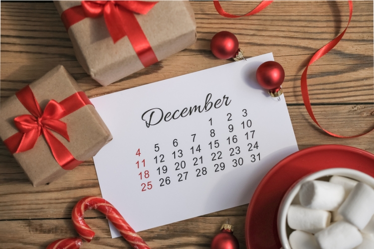 Calendario del contribuyente del mes de diciembre de 2024