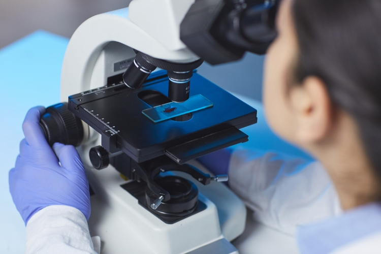 Modificado el Estatuto del personal investigador predoctoral en formación
