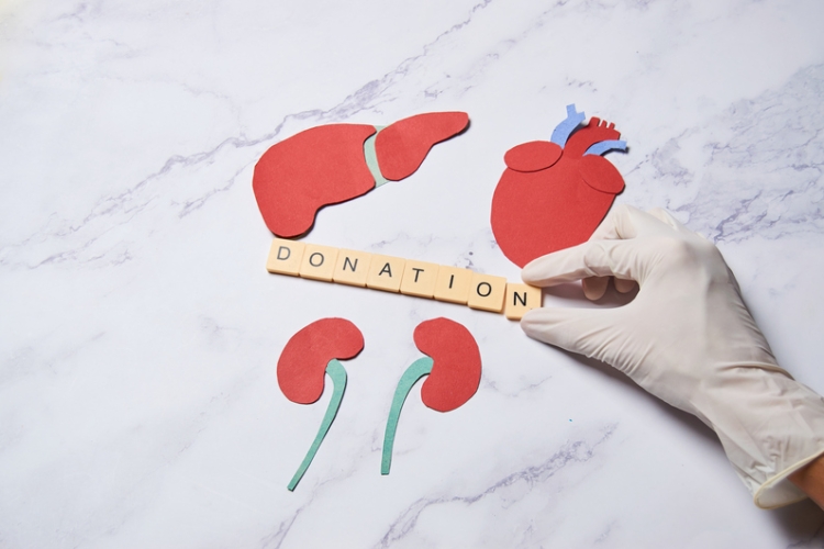 Nuevo permiso retribuido para donación de órganos