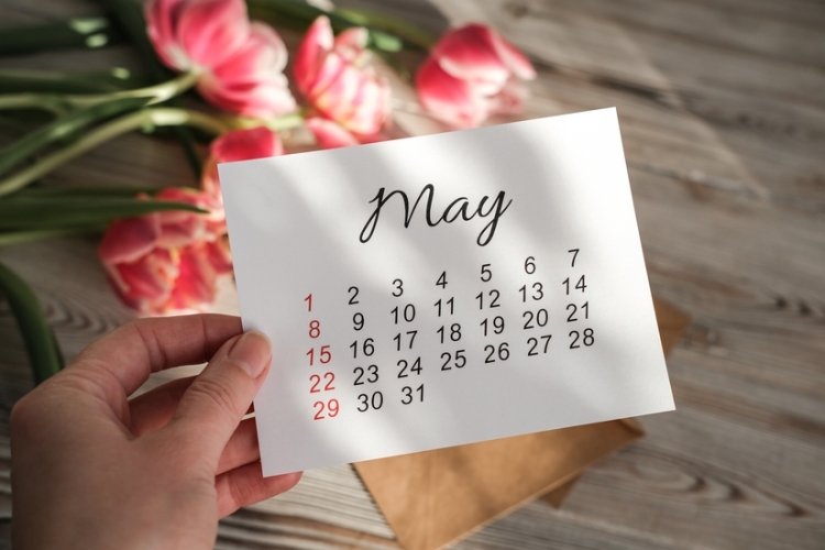 Calendario del contribuyente del mes de mayo de 2025