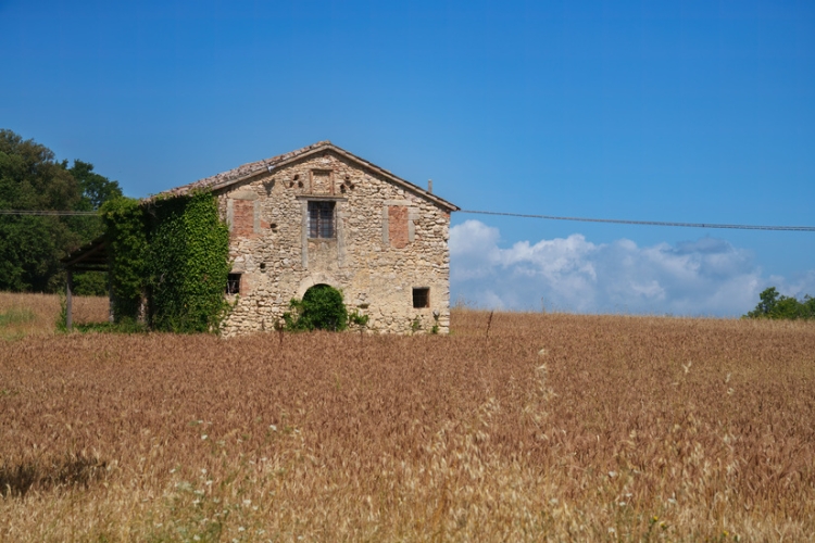 Cataluña adopta medidas fiscales en IRPF e ITPyAJD en relación con los municipios rurales