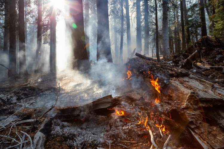 Galicia amplía los plazos de presentación de declaraciones y de pago de impuestos para afectados por los incendios