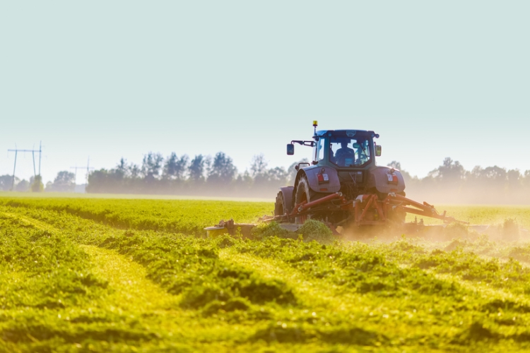 Cataluña aprueba medidas fiscales de apoyo al sector agrario