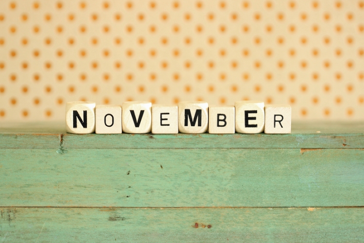 Calendario del contribuyente del mes de noviembre de 2025