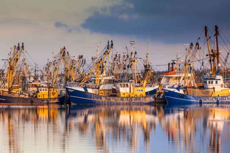 Nuevas ayudas a pescadores ante la paralización temporal de su actividad