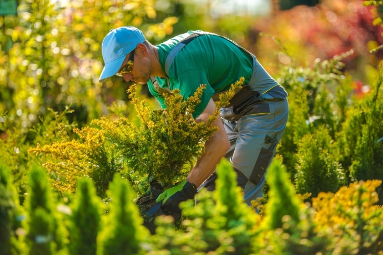 Publicado el nuevo convenio colectivo estatal de jardinería 2025 2030