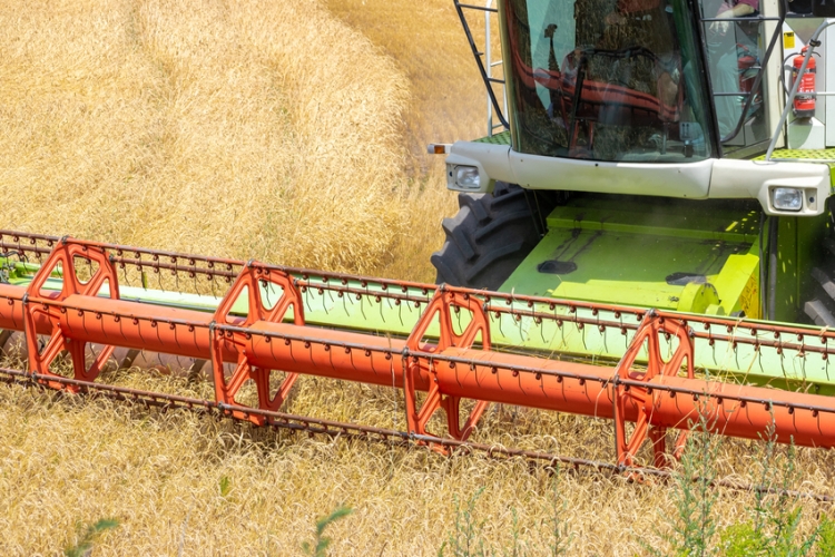 El TS avala la reducción por adquisición «mortis causa» de EAP aunque luego la explotación pierda esa condición