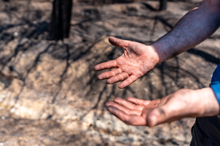 Incendios forestales: se publican las medidas urgentes de protección laboral y social para los afectados