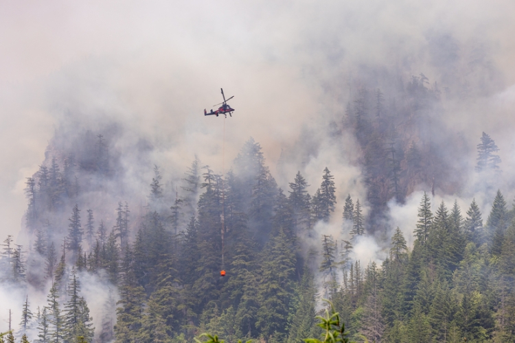 El SEPE regula la tramitación de la prestación por incendios