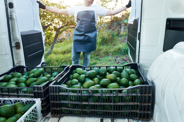 Publicado el I Acuerdo Marco de Distribución Alimentaria (AMADA) estatal