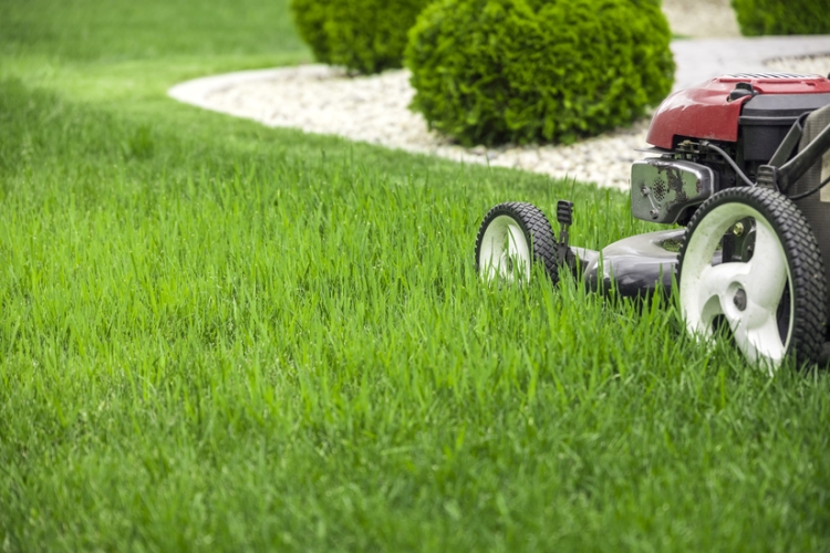 La DGT aclara el IVA de la jardinería en comunidades de propietarios