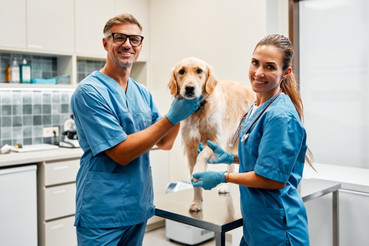 Publicado el III Convenio Estatal de Centros y Servicios Veterinarios 2026-2028