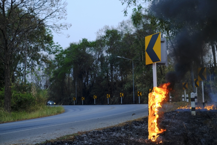 Prestación por emergencia extrema ante incendios forestales