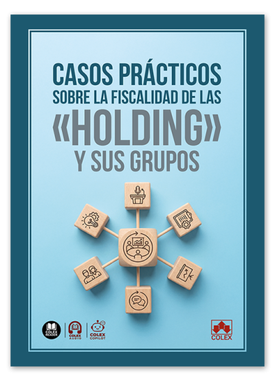 Casos prácticos sobre la fiscalidad de las «holding» y sus grupos