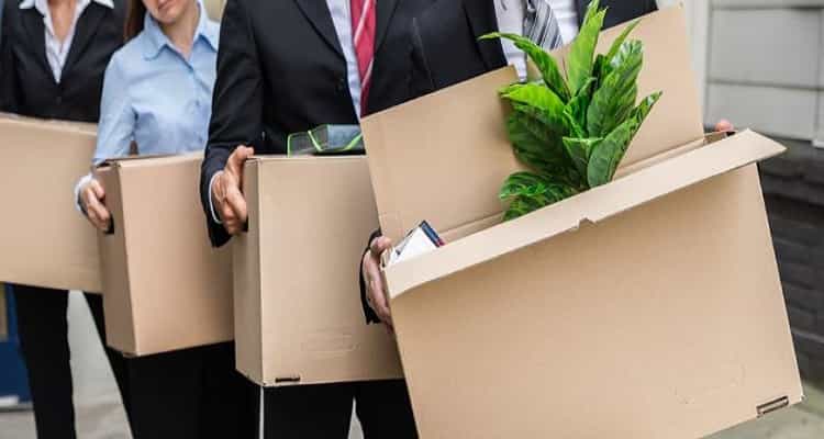 trabajadores y cajas