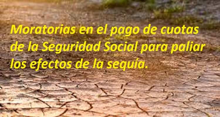campo sequía