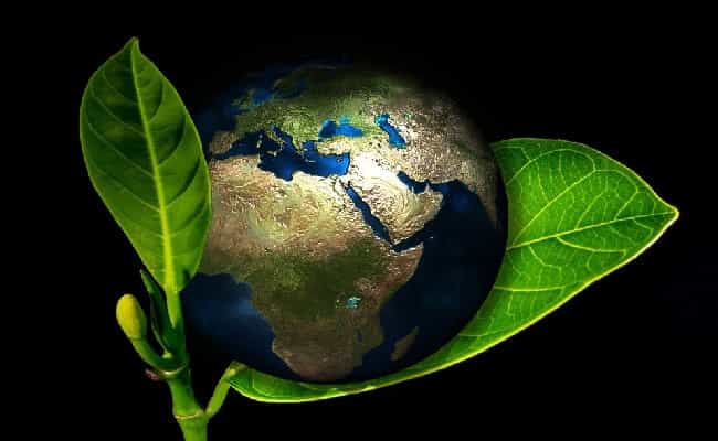 Contratación Pública Ecológica