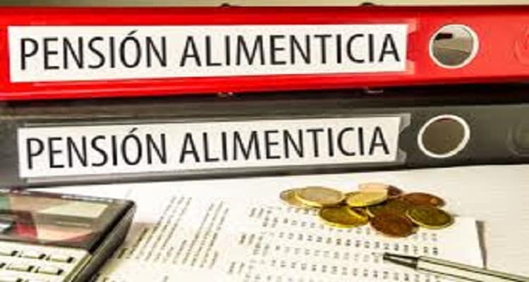 archivador pension alimentos