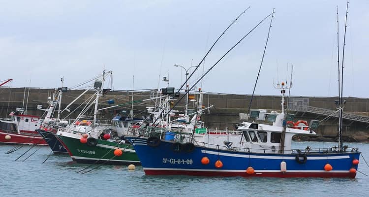 barcos pesca