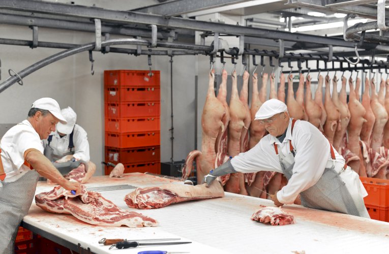 matadero