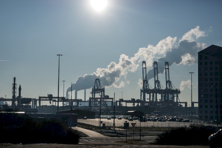 Contaminación ambiental