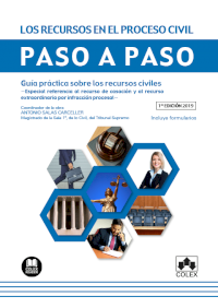 Los recursos en el proceso civil. Paso a paso