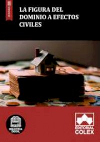 La figura del dominio a efectos civiles