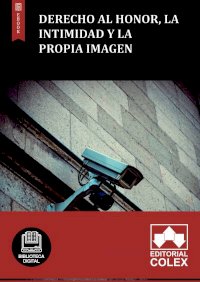 Derecho al honor, la intimidad y la propia imagen