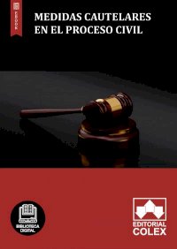Medidas cautelares en el proceso civil