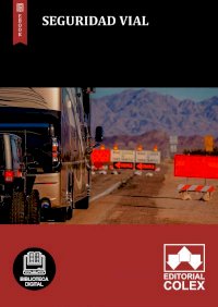 Seguridad Vial