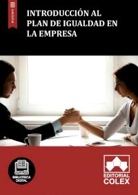 Introducción al Plan de Igualdad en la empresa