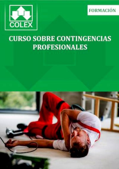 Curso sobre Contingencias Profesionales