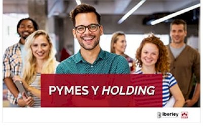 CURSO SOBRE LA APLICACIÓN PRÁCTICA DE LA FIGURA DEL HOLDING A LAS PYMES