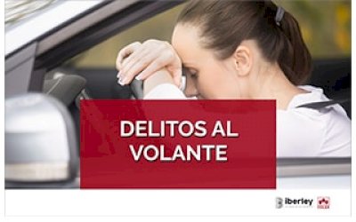 CURSO SOBRE LOS DELITOS QUE SE PUEDEN COMETER A BORDO DE VEHÍCULOS A MOTOR