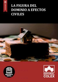 La figura del dominio a efectos civiles