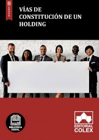 Vías de constitución de un holding