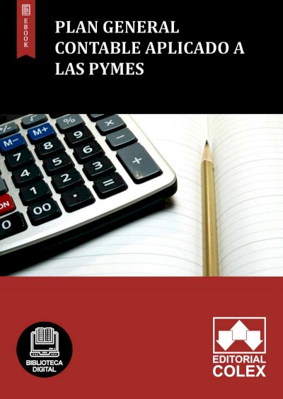Plan General Contable aplicado a las PYMES
