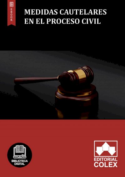 Medidas cautelares en el proceso civil