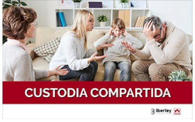 CURSO SOBRE LA CUSTODIA COMPARTIDA