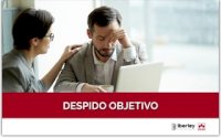 CURSO SOBRE DESPIDO OBJETIVO