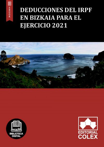 Deducciones del IRPF en Bizkaia para el ejercicio 2021